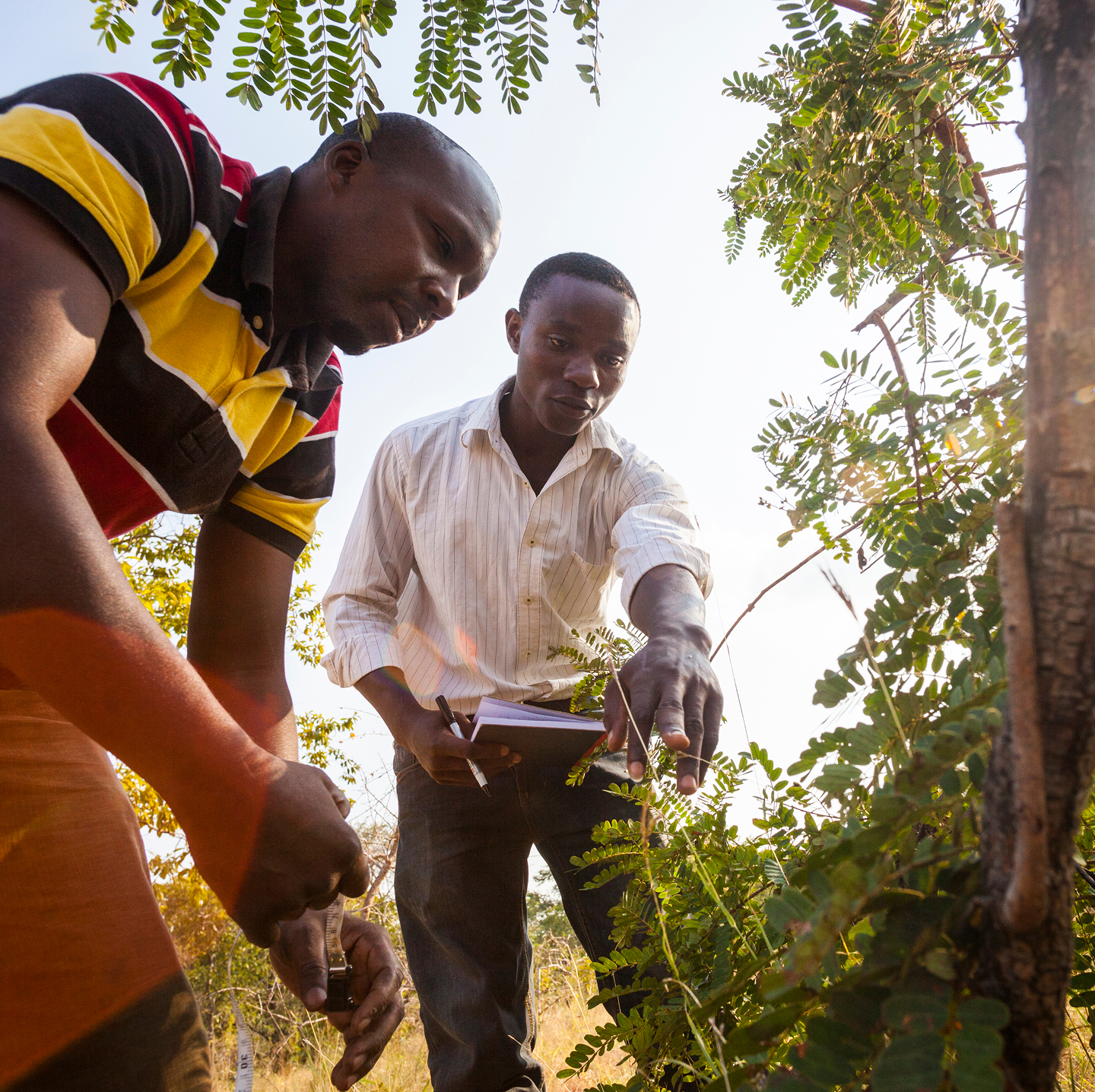 Two men in a field examine foliage; one points to a plant while holding a notebook and pen.