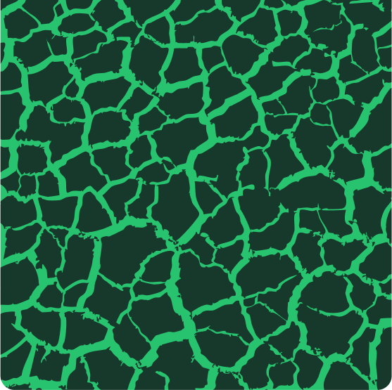 Image BG