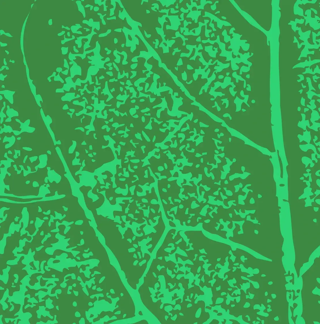 Property 1 Leaf