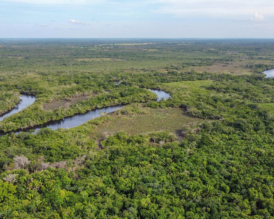 An arial view of a landscape