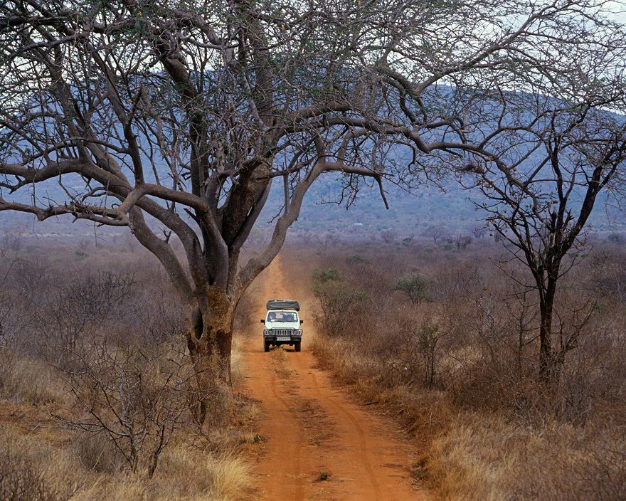 Open field with a vehicle approaching