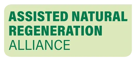 Govt partner logo 1