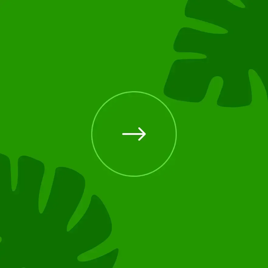 A minimalist green background with monstera leaf silhouettes.