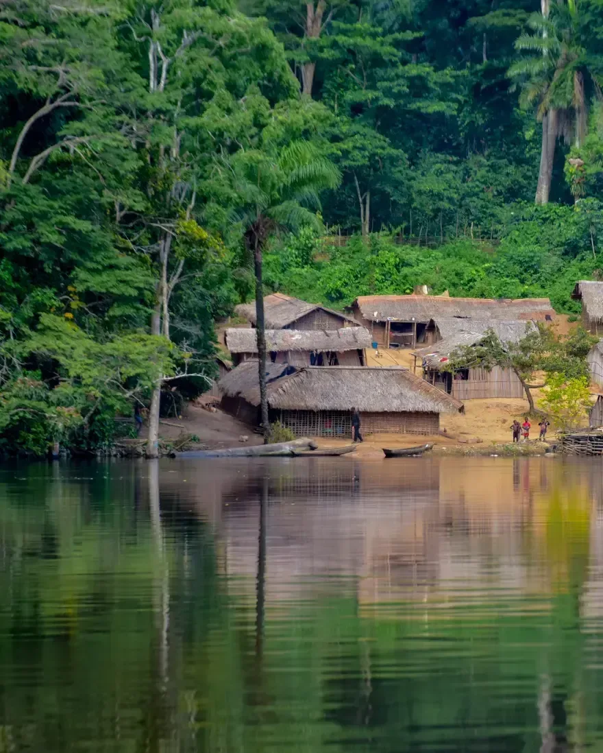 An lake side view near some thatched houses.