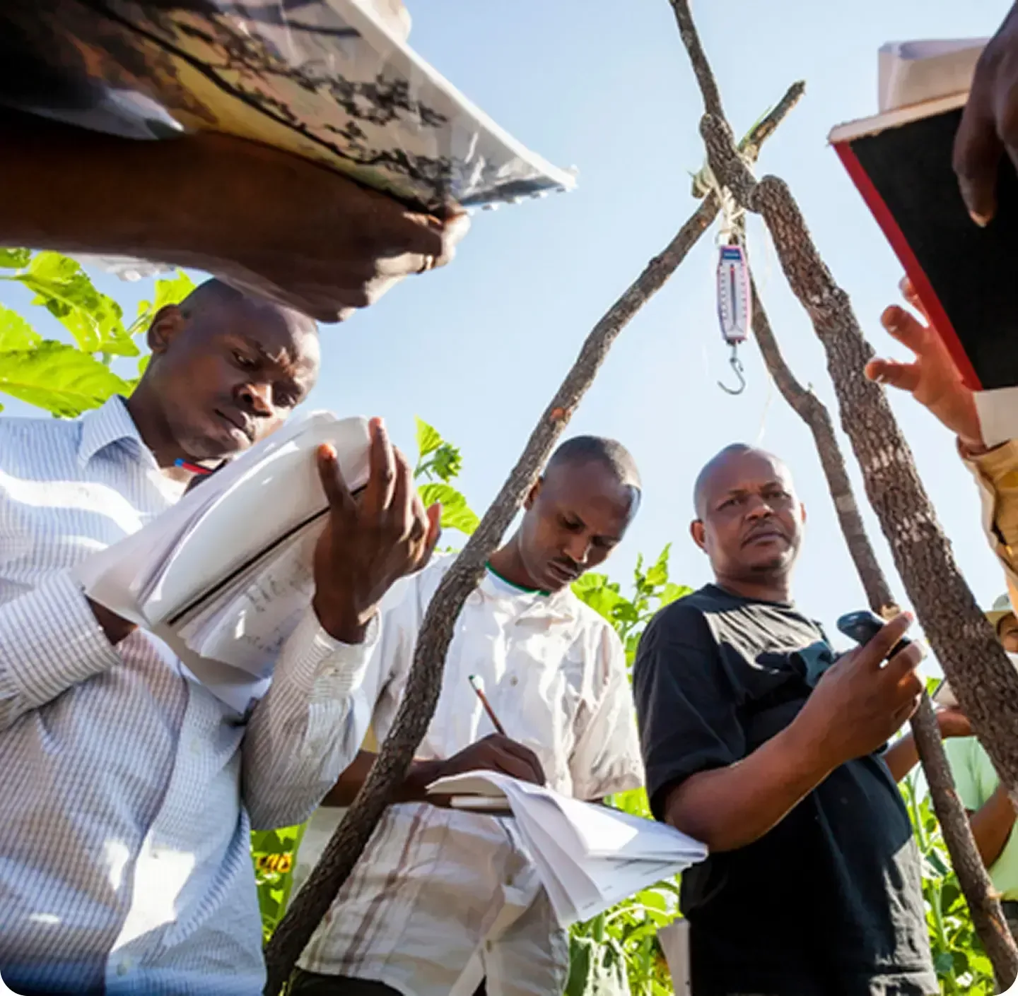 Agricultural researchers documenting data and observations in a field.