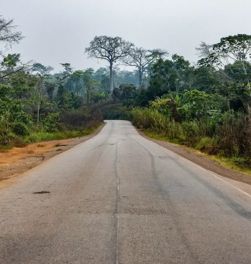 A red dirt road cutting through a lush tropical jungle.