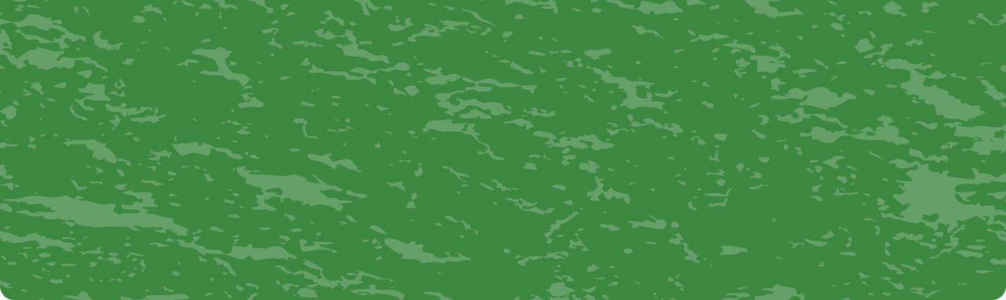 Training and webinar video section background